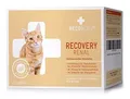 RECOACTIV Recovery Renal für Katzen, 3 x 90 ml, hochkalorisches Diät-Alleinfu...