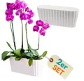 GarPet Blumentopf 2er Set Orchideentopf Kunstoff Elegant Orchideen Über Pflanz groß weiß