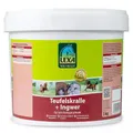 Lexa Teufelskralle + Ingwer pell., 3 kg (13,97 EUR/kg)