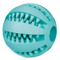 Trixie Denta Fun Ball Minzgeschmack Naturgummi 5