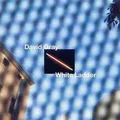 David Gray White Ladder CD Europa East West 1998 8573829832