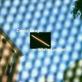 DAVID GRAY "WHITE LADDER" CD NEUWARE