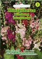 Königskerze Mischung 'Verbascum poeniceum' zweijährig Samen 569058