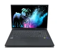 CAPTIVA Ultimate Gaming I81-601 17,3" QHD+ 240Hz i9-14900HX 32GB 2TB RTX4090 NEU