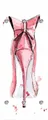 queence Garderobenleiste High Heel von hinten, mit 6 Haken, 50 x 120 cm