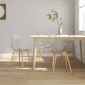 Esszimmerstühle 4 Stk. Transparent Pet - Vidaxl