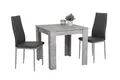 Hela Tische, 3-TLG Essgruppe Duo, Quadratischer Tisch Holzwerkstoff melaminbeschichtet, Betonoptik und 2x Esszimmerstuhl Grau, Metallfüße Grau