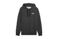 PUMA Kapuzenpullover Puma Herren Kapuzenpullover ESS Small No.1 Logo Hoodie FL 682574