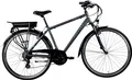 Zündapp E-Bike Trekking Green Herren 7.7 28 Zoll 21-Gang 536 Wh grau blau