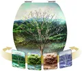 Cornat WC-Sitz "4 Seasons" - Hologramm-Effekt mit Wechselmotiven - Hochwertiger Holzkern - Absenkautomatik & Schnellbefestigung - Komfortables Sitzgefühl / Toilettensitz / Klodeckel / KSDSC311