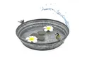 Spetebo Vogeltränke Wassertränke für Vögel aus verzinktem Metall 6 l, einsetzbar als Wassertränke, Mini-Zierteich oder Blumenschale