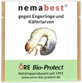 nemabest® HB Nematoden für 20m² (10 Mio.) gegen Engerlinge und Käferlarven