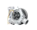 DOLZ C115 Kühlmittelpumpe Wasserpumpe für FIAT DUCATO Kasten (280)