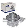 DOLZ WASSERPUMPE KÜHLMITTELPUMPE passend für CITROËN C25 CX FIAT DUCATO PEUGEOT