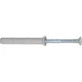 Fischer Nageldübel N 6x60/30 S (129329)