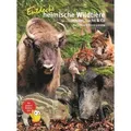 Entdecke heimische Wildtiere