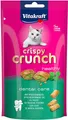 Vitakraft Crispy Crunch, knusprige Snackkissen gefüllt mit Pfefferminzöl, prophylaktische Wirkung, Katzensnack, ohne Zusatz von Zucker (1x 60g)