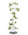 GUSTA GARDEN Sissi Strawberry Erdbeerbaum Classic Weiß - Hochbeet System Erdbeeren mit Wandhalterung - Garten & Balkon - 113 cm Höhe - 15L Erdvolumen
