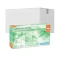 ARNOMED Nitril Peppermint Green Einmalhandschuhe, puderfrei, grün 386-L , 1 Karton = 10 Packungen à 100 Stück, Größe L
