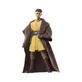 Star Wars Hasbro The Black Series, Jedi Yord Fandar, Actionfigur für Erwachsene,