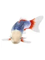Mojo Sealife Koi Carp - Asagi Koi