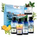 Veddelholzer Sauna-Aufgussset BIO Saunaaufguss Geschenkset Saunazubehör Aufgussmittel (4 x 100 ml verschiedene Saunaöle, 4-tlg., 100% naturreinen ätherischen Ölen) Bio Qualität als Geschenkset