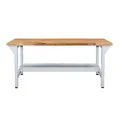 ADB Werkbank PROFI 1500 lichtgrau 150,0 x 75,0 x 85,0 cm