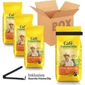 SPARBOX Café Intención Crema Aromatico + gratis Gourvita Frische-Clip, 4x1000g Bohnen