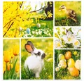HOME FASHION Papierserviette 20 Servietten Easter Collage - Collage für den Frühling 33x33cm, (20 St)