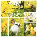 20 Servietten Easter Collage  Collage Ostern Hase Ei Frühling Tischdeko 33x33cm