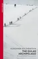 The Gulag Archipelago: (Abridged edition) (Vintage Classics)