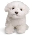 Malteser ohne Leine  26 cm Länge  PlüschHund, Haustier  Plüschtier, Kuscheltier