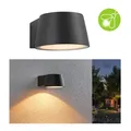 Paulmann 94713 LED Außenwandleuchte Capea insektenfreundlich IP44 96x128mm 2200K 6W 550lm 230V 98°