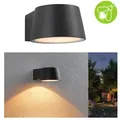 Paulmann 94713 LED Außenwandleuchte Capea insektenfreundlich Spritzwasser geschützt  extra warmweiß Schwarz Aluminium