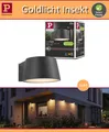Paulmann LED Wandleuchte Capea Insekt Goldlicht IP44 2200K 6W 230V Anthrazit 98°