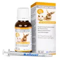 Alfavet RodiCare akut Ergänzungsfuttermittel zur Regulierung von Verdauungsvorgängen für Kaninchen, Meerschweinchen und Kleinnager, 15ml Glasflasche mit Dosierspritze