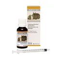 Alfavet RodiCare akut 15 ml | Verdauung bei Nagern mit Kräutern