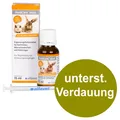 Alfavet RodiCare Akut 15ml Regul. Verdauung Kaninchen Kleinnager (1233,33 EUR/l)