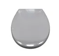 WC Sitz mit Absenkautomatik antibakteriell & UV-beständig Quick-Release Oval