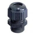 Lapp Zubehör Kabelverschraubung SKINTOP ST-M25x1,5 R9005 BK