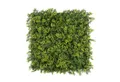 Kunstpflanze Pflanzenwand, 50x50cm Moos oder Ilex, Primaflor-Ideen in Textil, Höhe 50 cm, Wanddeko, realistische Optik, In- und Outdoor geeignet, UV-beständig