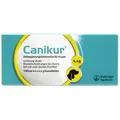 12 Canikur Kautabletten
