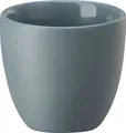 Rosenthal Espresso doppelwand. Comfort Blue 69211-321648-14952