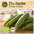 Little Plants BIO Zucchini Samen 10 Zucchinisamen Stiato ditalia Gemüsesamen Samenfest für Gemüsegarten Gemüse Samen Hochbeet Samen für Küche, Balkon und Garten