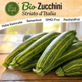 Zucchini Samen (BIO) - 10 Samen Gemüsesamen Zucchinisamen Stiato d'Italia