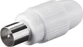 OEM Antennenanschluss 75 Ohm PAL(M), IEC169-2, zum Schrauben