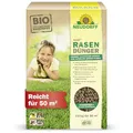 Neudorff Azet RasenDünger – Bio Rasendünger für 50 m² sorgt für eine dichte, grüne und strapazierfähige Rasenfläche mit 6 Monaten Langzeitwirkung, 2,5 kg