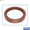 WELLENDICHTRING KURBELWELLE 15058100 FÜR EPE/P00/U150 2.5L 4cyl C258/M258 4.2L