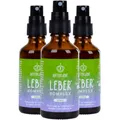 BitterLiebe - Leber Spray - natürliche Unterstützung der Leberfunktion mit Cholin und Bitterstoffen
