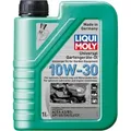 1 L LITER LIQUI MOLY 1273 10W-30 MOTOR-ÖL RASENMÄHER-ÖL GARTENGERÄTE 4-TAKT